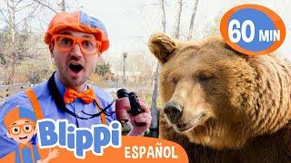 La caminata de Blippi por la colmena de abjejas | Blippi | Moonbug Kids Parque de Juegos