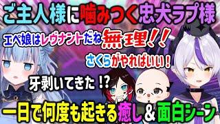 【V最協S6】忠実だったのに急に牙を剝いてきたラプ様にビックリする碧依さくら 癒し＆面白シーンまとめ【ラプラスダークネス/おだのぶ/うるか/ホロライブ/CR/APEX】