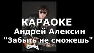 Забыть не сможешь Караоке Андрей Алексин & Валерия Лесовская