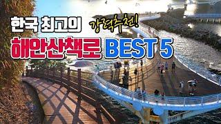 한국 최고의 해안산책로 BEST5 (3편) /국내여행 /11월  여행지 추천 /걷기 좋은 길 /산책 명소 /해안 데크길 /둘레길 명소 /대부도 여행 /부산 여행 /섬여행 추천