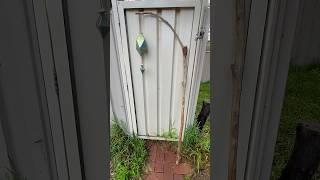 Look at this cool #staff That I made for an #upcoming #cosplay #diy #scrafty #advancedcrafting