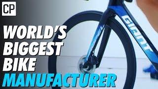 How Giant Became The World's Biggest Bike Company