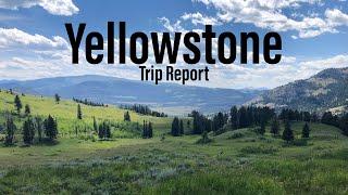 Yellowstone National Park – Black Canyon-Buffalo Plateau-Slough Creek | 4-day Backpacking Report