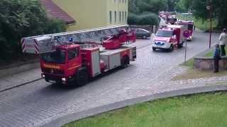 90 Jahre Freiwillige Feuerwehr Lebus am 30.05.2015 (1)