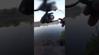 Судак на микроджиг #судак #микроджиг #рыбалка #ловлянаспиннинг #zander #zanderfishing #fishing