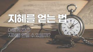어떻게 하면 지혜로워질 수 있을까? | 지혜를 얻는 법