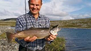 Arctic Hiking and Trout Fishing - July 2024