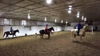 cours d'équitation du 6 avril 2019