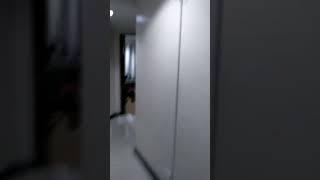 roam attractions 2025 - room (hd)
