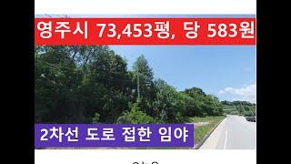 영주시 73,453평, 당 583원 (2차선 도로 접한 임야)