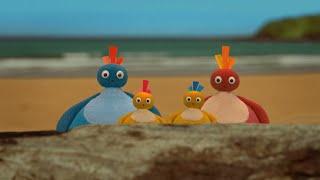 Epic Adventures With Twirlywoos! | Fun-filled Compilation For Kids | WildBrain Zigzag
