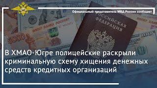 Ирина Волк: Полицейские раскрыли криминальную схему хищения денежных средств кредитных организаций