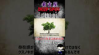 【切ってはいけない木】名古屋で有名ないわくつきの木、その実態は…？本編で真相が明らかに！ぜひ観てね！#shorts #心霊スポット＃オカルト