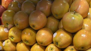 Kabhi Yellow Apple dekha hai || yellow apple in dubai || Desivloger || in hindi