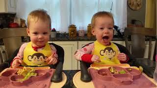 Twins try avocado toast