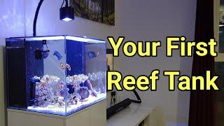 How Much Knowledge Do You Need To Start A Reef Tank? The Prestige Reef Dork Show Ep 60