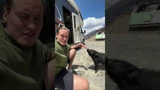 Обычное Утро Жизни в Доме На Колесах =)