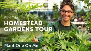 Homestead Garden HOUSEPLANT Tour — Ep. 368