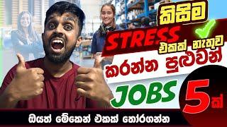 Top 05 Stress Free Jobs with High Salaries in Sinhala | Best Jobs 2025 | NO STRESS