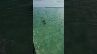 Content Key, Florida