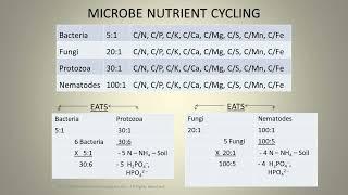 6 Nutrition Cycling