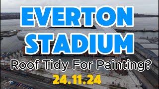 NEW Everton Stadium  Bramley Moore dock Roof Ready For Painting?