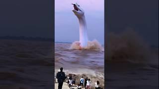 ular putih raksasa keluar dari bawah sungai
