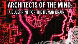 Architects of the Mind: A Blueprint for the Human Brain