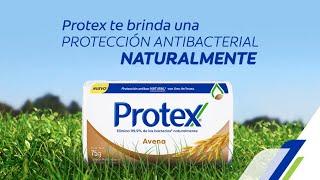 Jabón Protex en barra o líquido | Farmatodo