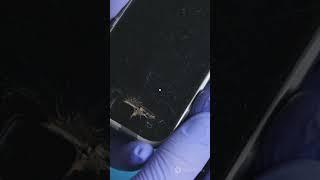 The Murder You Didn’t See-Unraveled Crime Part1 #thrillerstory #shorts  #truecrimestory #shortvideo