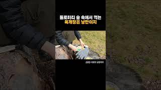 돌로미티 숲 속에서 먹는 육개장은 낭만이지 #돌로미티 #이탈리아 #세체다 #육개장 #피크닉 #트래킹