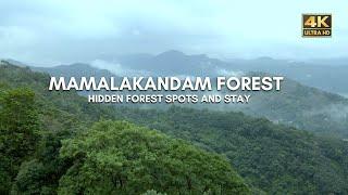 Mamalakandam Forest | Hidden Spots | Offroad | Stay | Vlog#59