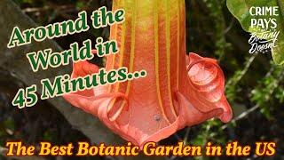 Around the World in 45 Minutes : The Best Botanic Garden in the US