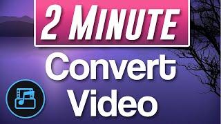 How to use Movavi Video Converter Premium