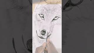 Wolf Face Sketch Art Video #art #drawing #sketch #fox #foxart #wolf