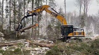 Работа лесного экскаватора харвестера SANY SY245F harvester forestry excavator work