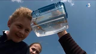 Récid'Eau, un événement organisé au MuséoParc d'Alesia pour sensibiliser aux enjeux de l'eau