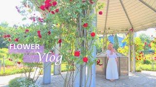 Flower Vlog, A Summer day in a life full of flowers (ENG/INDO)