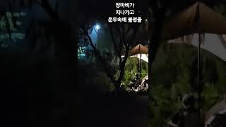 #뷰가좋은 캠핑장 #애완견캠핑장 #운무속 불멍 #캠핑 #안성캠핑장