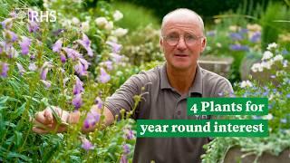 4 plants for year round interest | The RHS