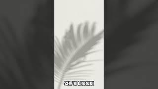 무서운게 딱 좋아9  #공포 #귀신 #무서운이야기