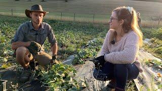 En immersion... avec un maraîcher