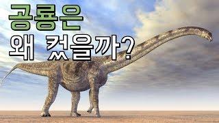 어떤 공룡들은 왜 이렇게 컸을까? ｜공룡의 크기