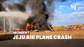 [MOMENT] Jeju Air plane crashes, all onboard dead except 2 rescued