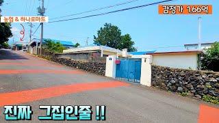 [제주도경매] 토지가보다 감정가가 더 싼집! 그래서 부랴부랴 달려갔습니다!! 실제현장영상 (2024타경 9916)