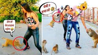 ये बंदर तो बचपन से ही बदमाश हैं  । animal funny videos 2022 । #monkeyfunny