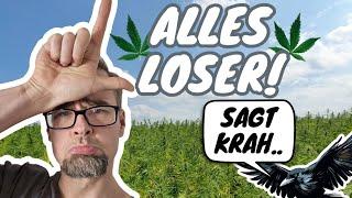 Laut Maximilian Krah (AfD) sind alle Cannabis-Konsumenten Loser. Wie falsch er doch liegt..