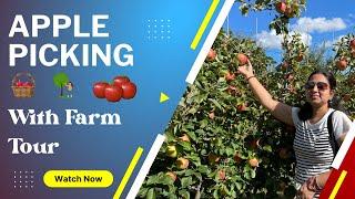 Apple PIcking and Farm Tour | Shelburne Farm Massachusetts I TravelFreak Videos