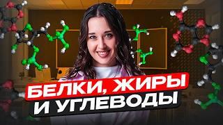 Всё о БЖУ: белки, жиры и углеводы для ОГЭ ПО БИОЛОГИИ! / Как ЛЕГКО запомнить БЖУ для ОГЭ?