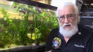 THE OLD TIMER'S BALANCED AQUARIUM